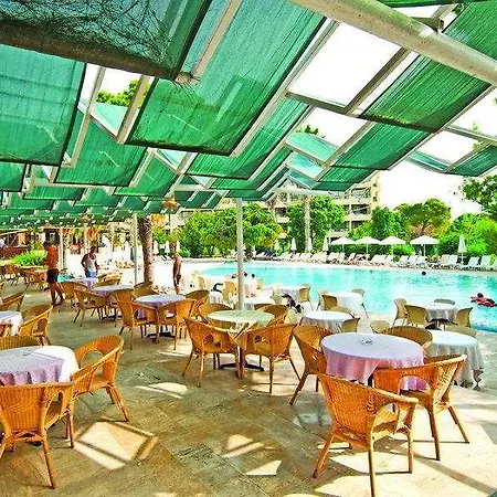 Ally Resort Side